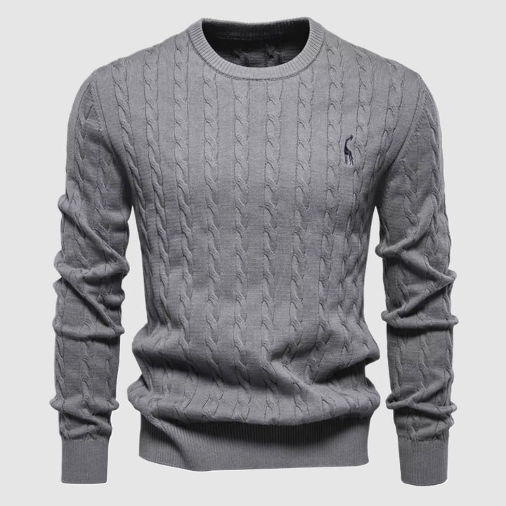 Coles | Men Sweater